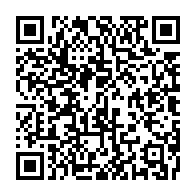 qrcode:https://thegabon.com/mal-conseille-bricolage-constitutionnel-onanga-y-obegue-allume,11362