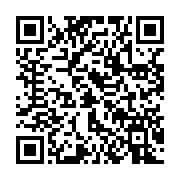qrcode:https://thegabon.com/constitution-billie-by-nze-defie-oligui-nguema-a-un-debat,9630
