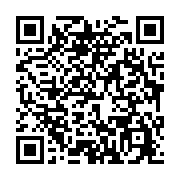 qrcode:https://thegabon.com/elections-2025-le-pdg-tacle-l-udb-sur-ses-debauches-aux,10731
