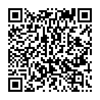qrcode:https://thegabon.com/locales-2025-malgre-les-accusations-de-fraudes-l-udb-rafle-plus,10990