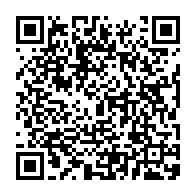 qrcode:https://thegabon.com/samba-la-mascotte-de-la-can-gabon-2017-bouderait-elle-la-couleur,2393