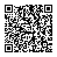 qrcode:https://thegabon.com/yaha-brice-ressaisis-toi-la-petite-gifle-d-anniversaire-d-un,11612
