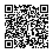 qrcode:https://thegabon.com/affaire-pierre-pean-vs-ali-bongo-la-justice-francaise,2009