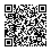 qrcode:https://thegabon.com/seraphin-moundounga-revision-constitutionnelle-recul,3274