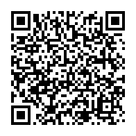 qrcode:https://thegabon.com/sante-d-ali-bongo-le-flot-d-injures-du-pdg-pour-defendre-son,3985