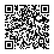 qrcode:https://thegabon.com/bilie-by-nze-et-son-revenu-universel-promesse-sincere-ou,10177