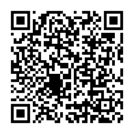 qrcode:https://thegabon.com/un-vaste-reseau-mafieux-de-vol-et-ventes-illicites-de-vehicules,1524