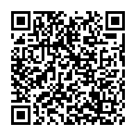qrcode:https://thegabon.com/le-drapeau-gabonais-dechiquete-en-pleine-ambassade-du-gabon-aux,7177