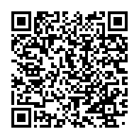 qrcode:https://thegabon.com/bertrand-zibi-eclabousse-la-bimbo-princesse-de-souba-sur-son,9992